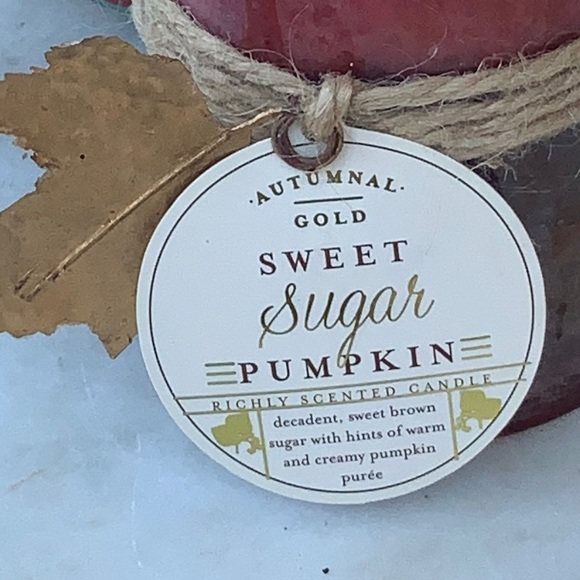 HAVEN STREET CANDLE SWEET SUGAR PUMPKIN PILLAR RICHLY SCENTED 3 BY 4 - Picture 3 of 4